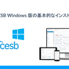 ArcESB Windows 版の基本的なインストール