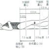 理学療法士　国家試験42-5