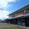 唐津焼と呼子のイカ、温泉入らず