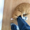 出かけないで！宙の外出阻止！