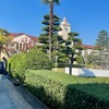 景観に特化した大学。