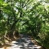 つくば坂練