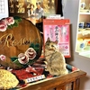 ’２１年４月１８日（日）Haco-kibi Diary