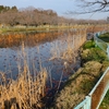 宮の池（茨城県那珂）