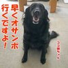 ココ姉ちゃんの病状