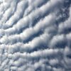 もこもこ秋空観察