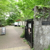 神代水生植物園で花菖蒲巡り