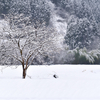 雪のある景色
