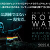 今夜、すべてのバーで〜ロジャー・ウォーターズ『ディス・イズ・ノット・ア・ドリル：ライヴ・フロム・プラハ− ザ・ムービー』