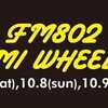 MINAMI WHEEL 2017に行ってきた！