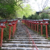 【京都洛北】灯篭の絶景と縁結び♡貴船神社の見どころとアクセス