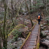 立春の工石山遊山　転