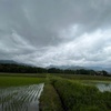 2023/06/03 土曜日　勝手に雲の観察会