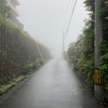 今朝は霧が濃い