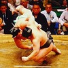 【大相撲夏場所】琴桜、大の里、欧勝馬、湘南乃海の4力士が3敗で横一線の大混戦。抜け出すのは…？