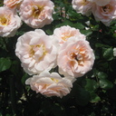 わくわくの日々