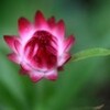 片付け・・