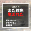 エンドラーズ・ライブベアラーが2回目の出産をしました