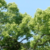 10年間日記より5月5日 を抜粋