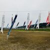 越路の川沿いに泳ぐ「岩田鯉のぼり」を見てきたよ！