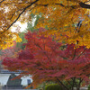 廬山天台講寺(廬山寺)