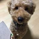 black-monkey's blog