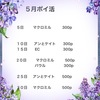 ５月ポイ活