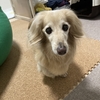 いよいよ。