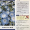 内外トランスライン （9384）の株主優待：カタログギフトが届きました。
