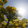 頭の中整理〜５月１４日編〜