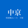 豊明S、濃尾特別、茶臼山高原特別の中京3レースをドーンと予想（'17年）