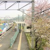 予讃線国分駅で桜をいれてアンパンマン列車を撮影