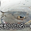 【化け物】🐟ヒラメ,マゴチの跳ねる中釣れたモンスター❗遠州灘 田原サーフ❗車中泊DIY進んでます【釣行日2023/4/14(金)】