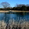 昭和記念公園