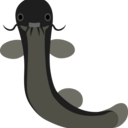 どじょ子の「どじょう道場」