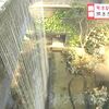 アミュプラザくまもと　庭園を公開