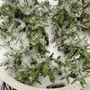 2024年の札幌の初積雪は11月7日！7センチの積雪がありました