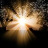 突然の読者数増加での私なりの氣づき/ 【瞑想２１日目】