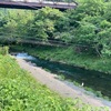 5月21日(水)秩父フライフィールドの河川情報