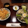 戸隠そば 天丼と磯おろしのセット