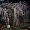 桜町・伝馬町・馬場町　古墳と桜の飯田紀行（19）