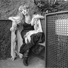 ☆Cats and Dogs #4  Stevie Nicks