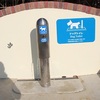 ふと思ったこと－犬の公衆トイレ