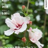 ＜Running Diary＞ 2026年6月29日〜7月5日