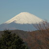 【参加者募集】9/22はマウント富士巡礼ライド！日本人なら一度は至近距離から富士山を見よう！