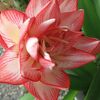 【隠居の朝の一言　ジジババの力　09/30】