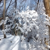 雪の土岳　登山