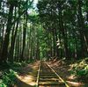 【初心者向け】飯能満喫ハイキングコースを写真で徹底解説します
