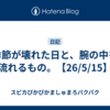 季節が壊れた日と、腕の中を流れるもの。【26/5/15】
