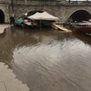 今週のLondon Richmond　冬時間の開始。毎日雨の降る季節になりました。